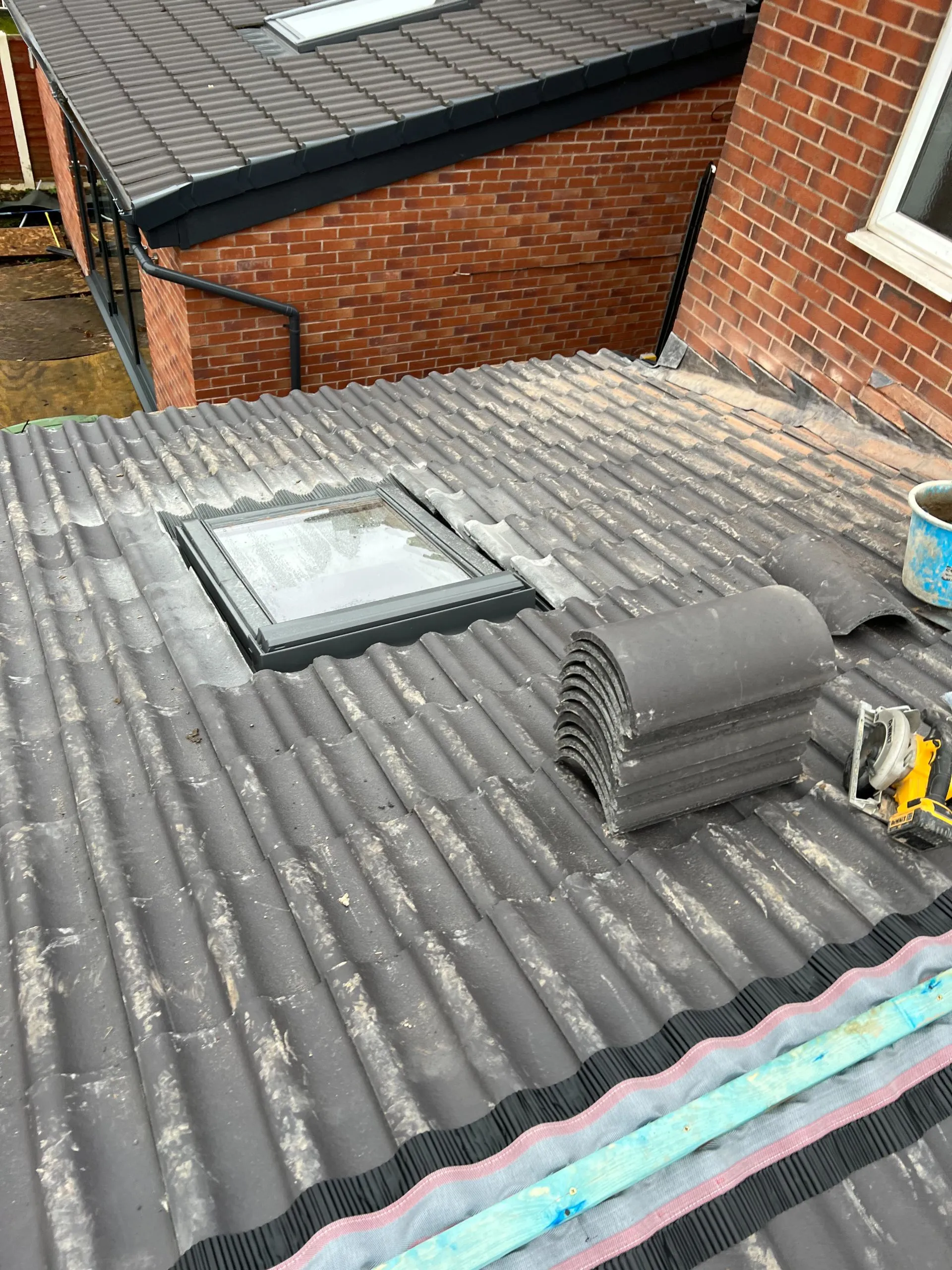 CSG Plastics & Build | Contemporary Rear extension