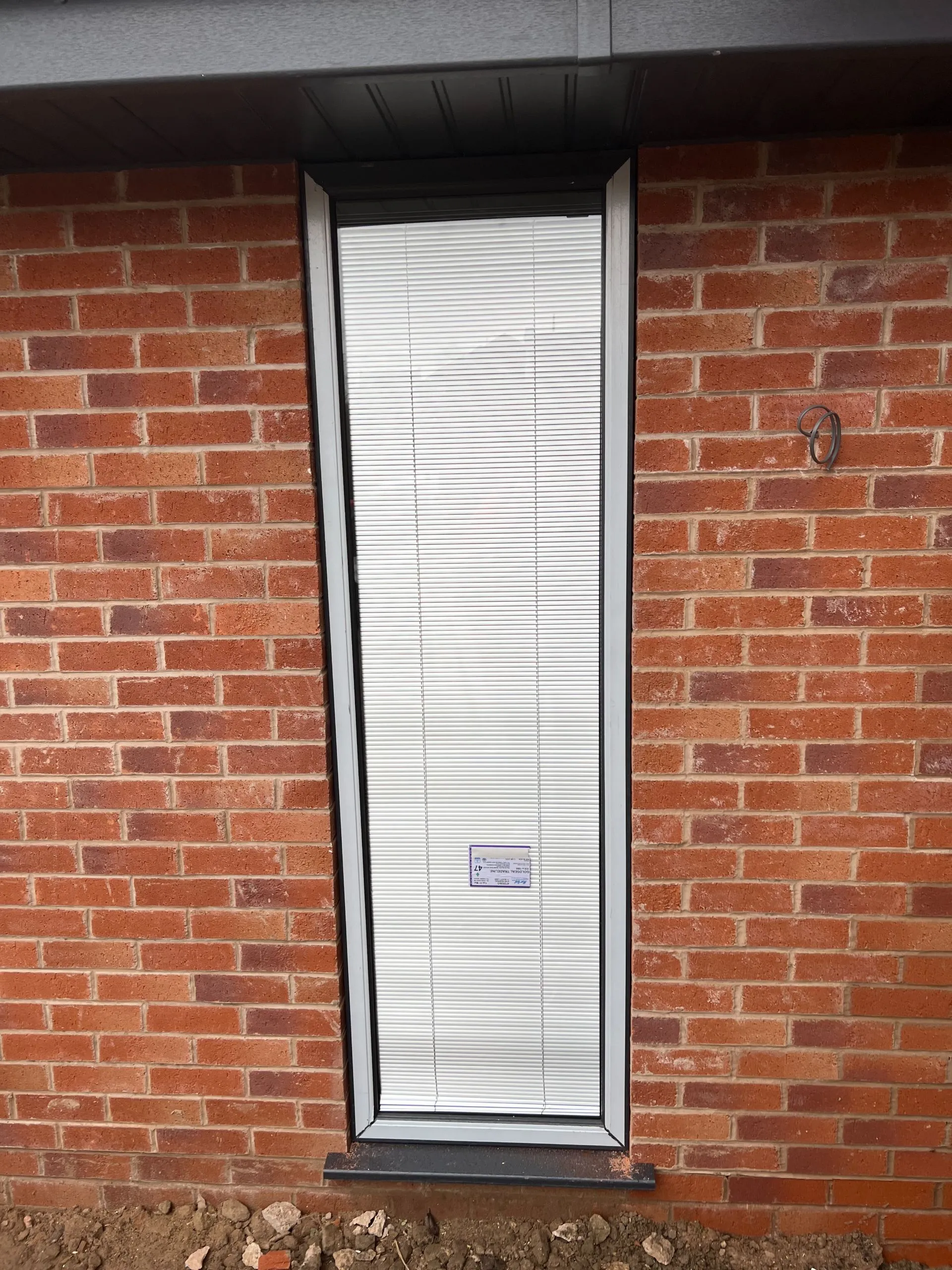 CSG Plastics & Build | Contemporary Rear extension